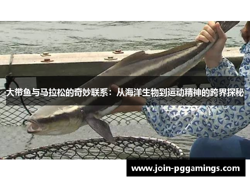 大带鱼与马拉松的奇妙联系：从海洋生物到运动精神的跨界探秘
