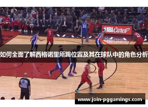 如何全面了解西格诺里所踢位置及其在球队中的角色分析