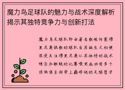 魔力鸟足球队的魅力与战术深度解析揭示其独特竞争力与创新打法
